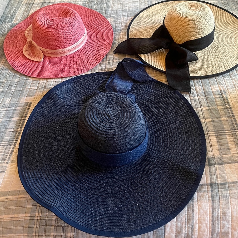 Three wide brim hats